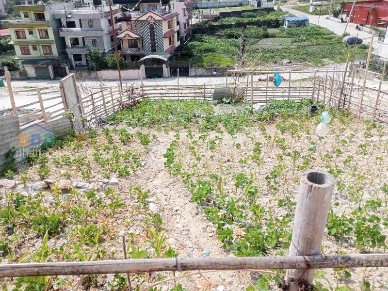Land on Sale at Chapali Ghumti