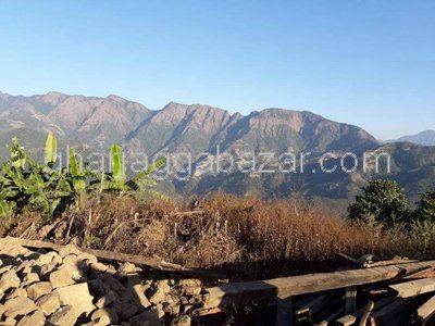 Land on Sale at Thingan