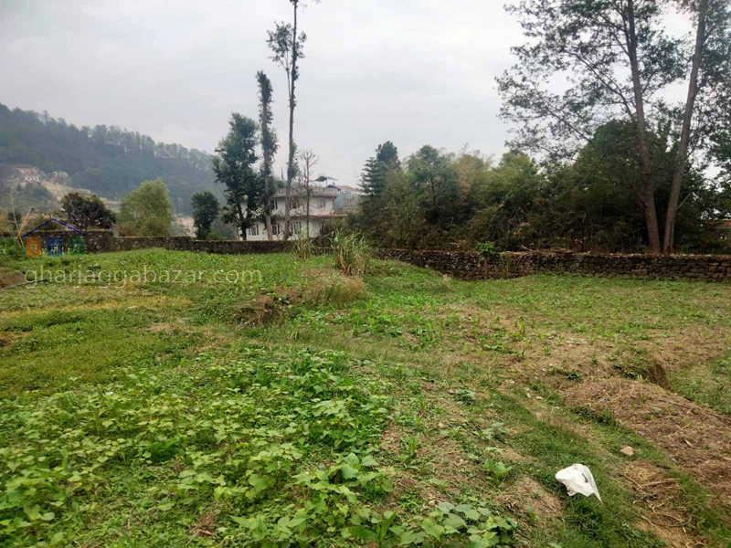 Land on Sale at Narayanthan Height