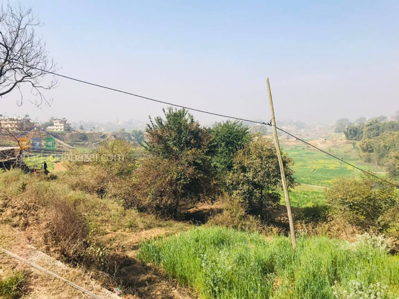 Land for Plotting at Sudal
