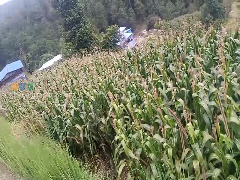 Land for Hotel Resort on Sale at  Banepa Ghimire Gaun