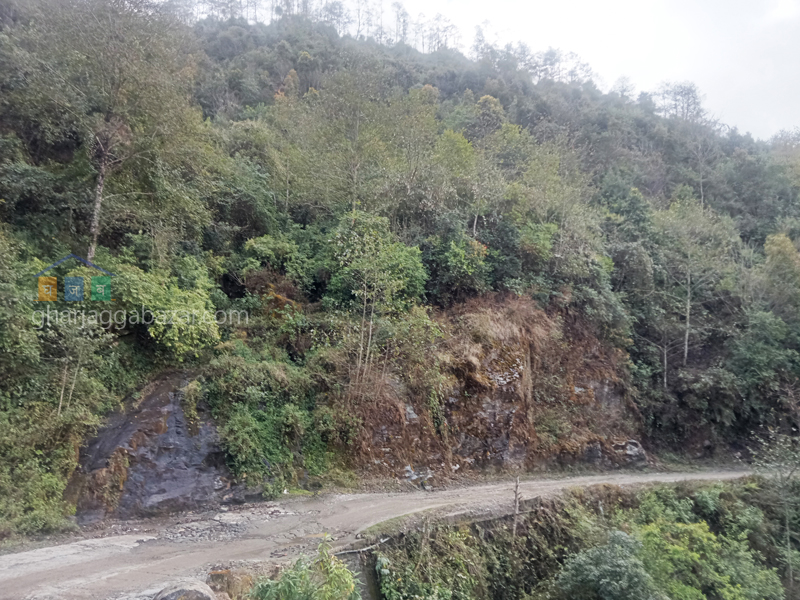 Land for Farming at Ranipauwa Kakani
