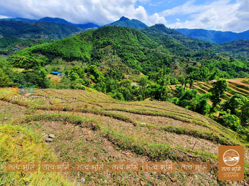 Land on Sale at Mulabari Nuwakot