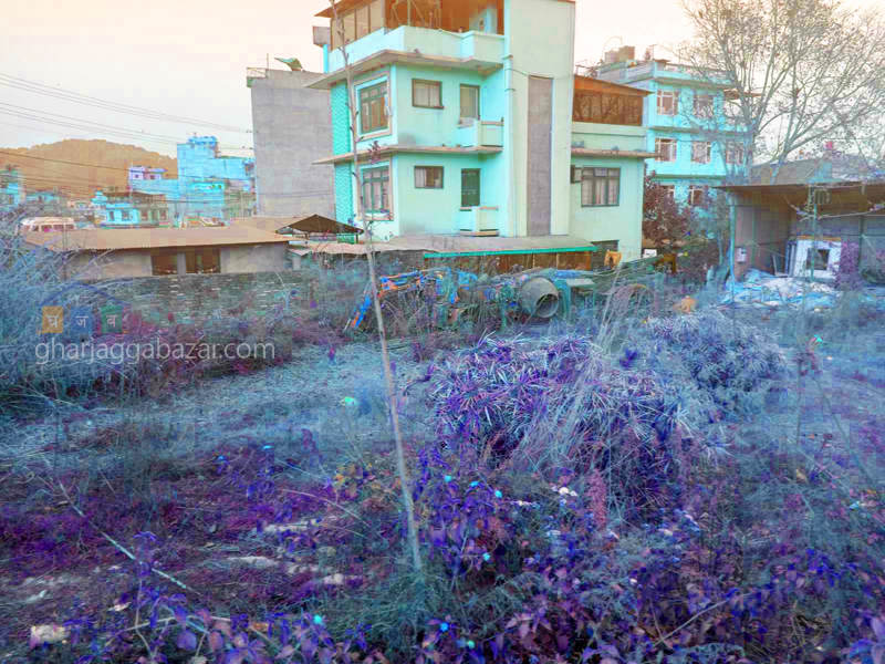 Land on Sale at Sano Bharyang