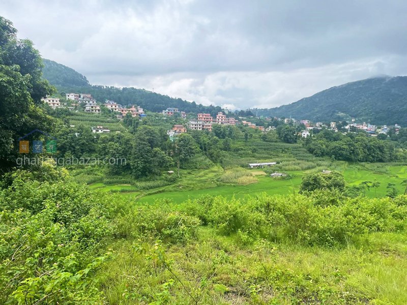 Land on Sale at Sanga