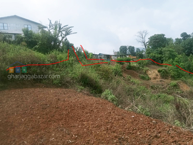 Land on Sale at Chhampi