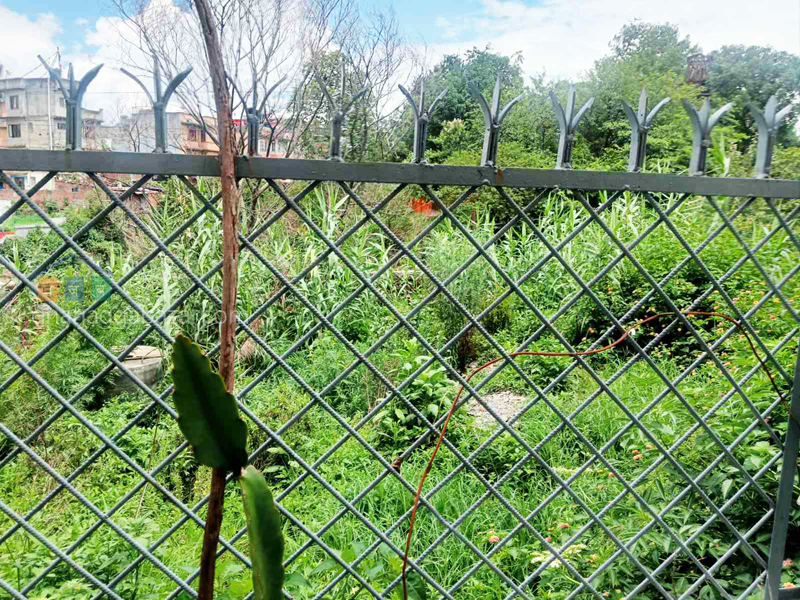 Land on Sale at Kuleshwor Likmarga