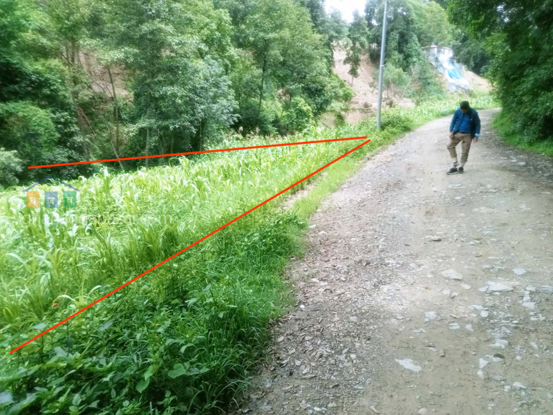 Land on Sale at Chapagaun