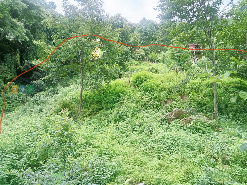 Land on Sale at Narayanthan Height