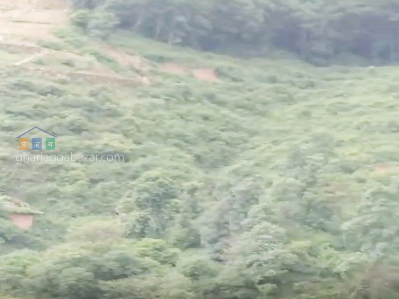 Land for Plotting at Godamchaur