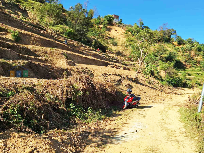 Land on Sale at Chhampi
