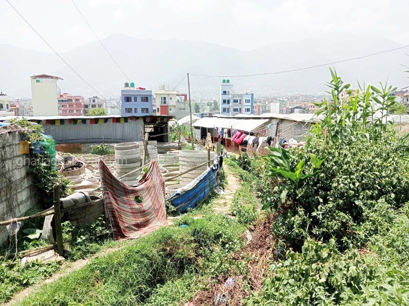 Land on Sale at Balambu