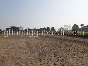 Urgent Land to Sell at Mohada