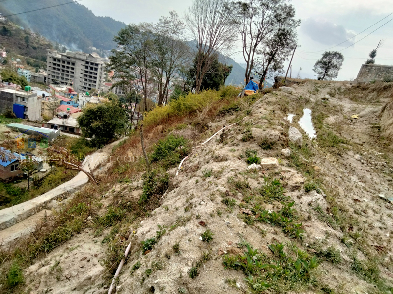 Land on Sale at Narayanthan