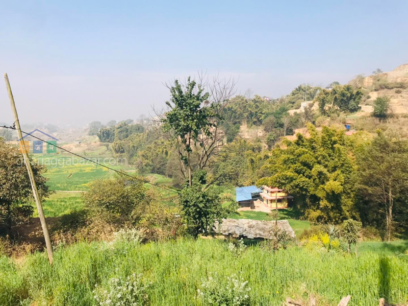 Land for Plotting at Sudal
