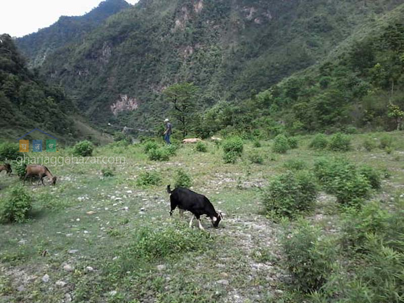 Urban Land on Sale at Mugling