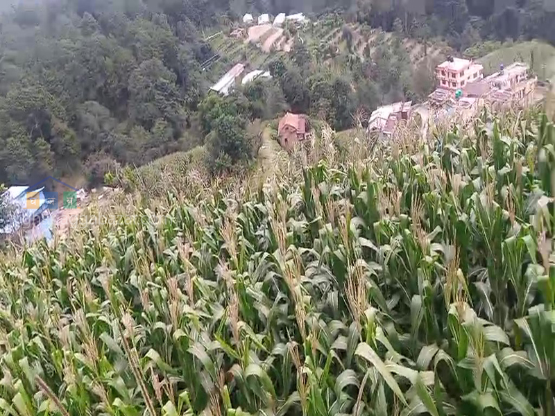 Land for Hotel Resort on Sale at  Banepa Ghimire Gaun