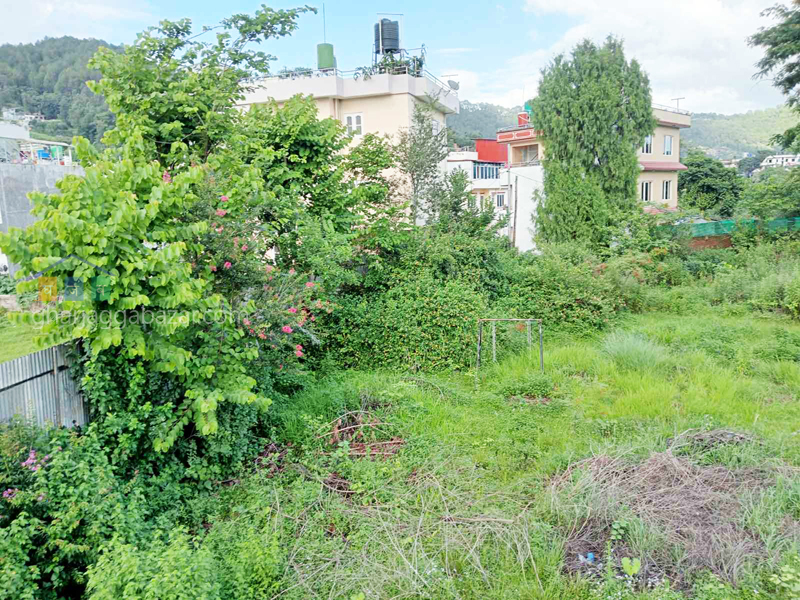 Land on Rent at Chapali Bhangal