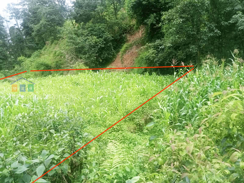 Land on Sale at Chapagaun