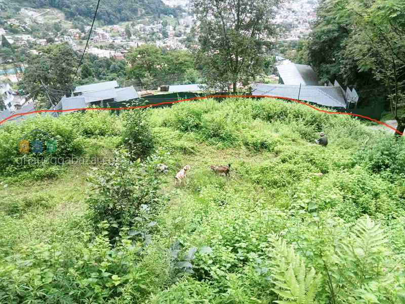 Land on Sale at Narayanthan Height
