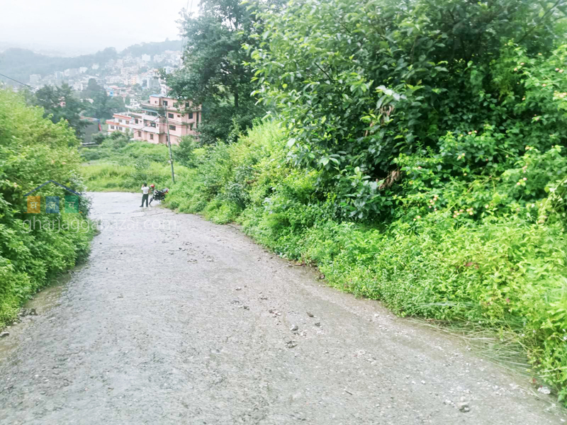 Land on Sale at Narayanthan Bisnumati