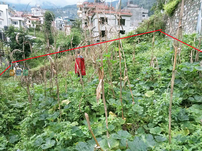 Land on Sale at Narayanthan Wasik