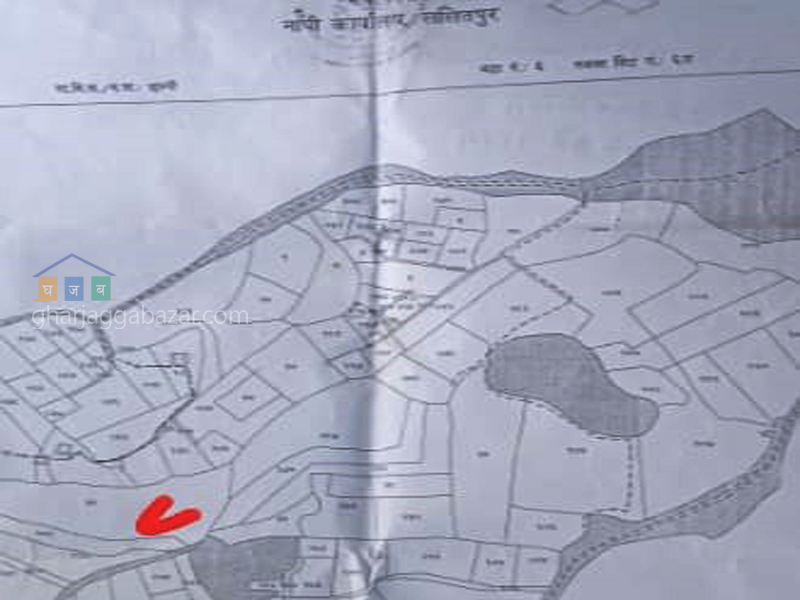 Land on Sale at Chhampi