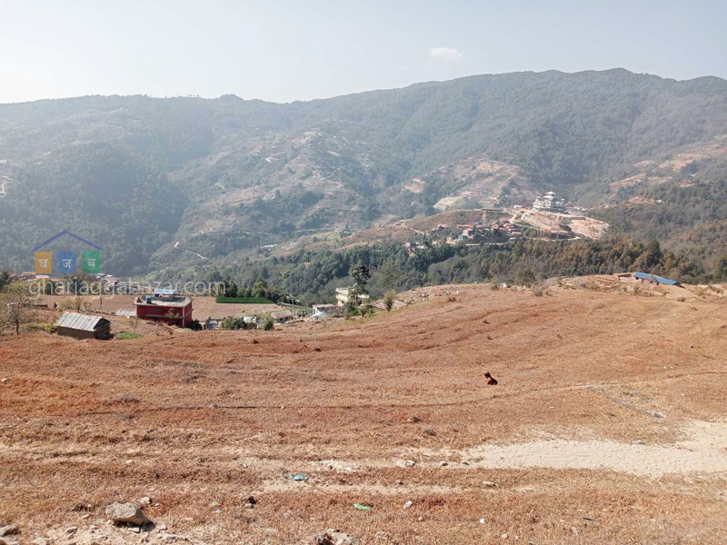 Land on Sale at Jarsing Pauwa