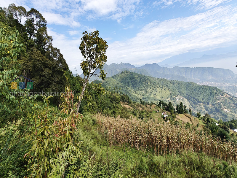 Land for Hotel Resort on Sale at Chaimale