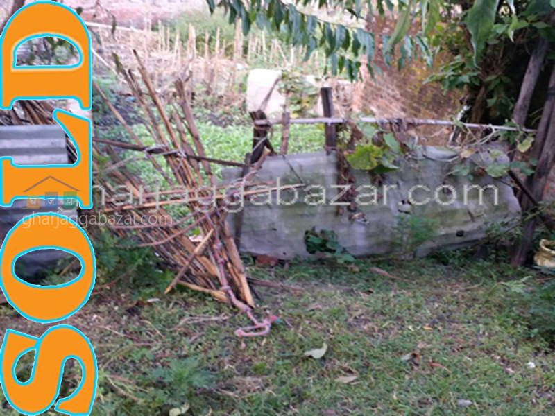 Land on Sale at Thulo Bharyang