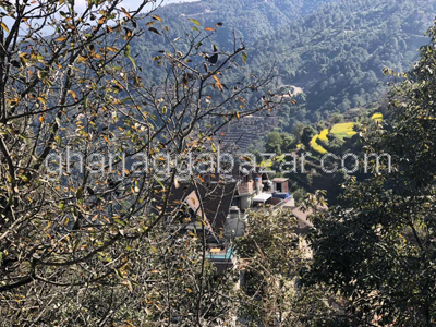 Hotel Resort on Sale at Nagarkot
