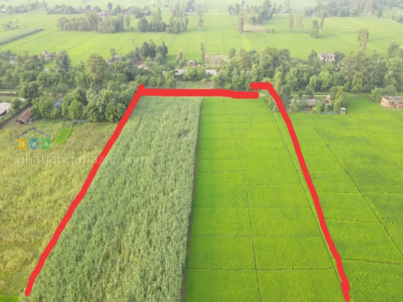 Land on Sale at Kalika Kanchanpur
