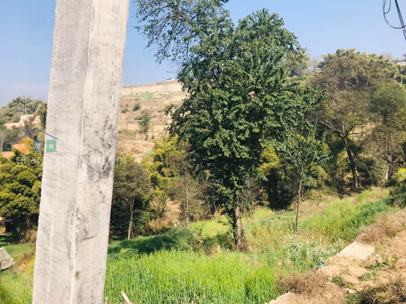 Land for Plotting at Sudal