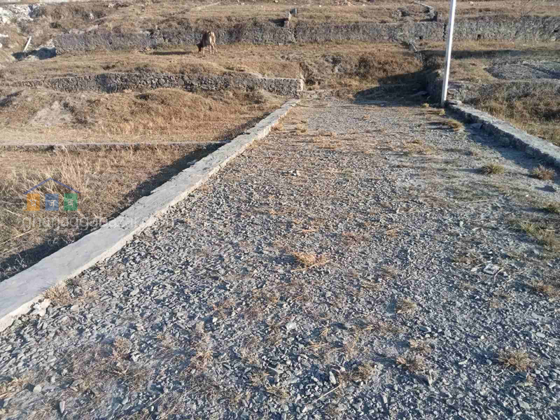 Planning Land on Sale at Sangla