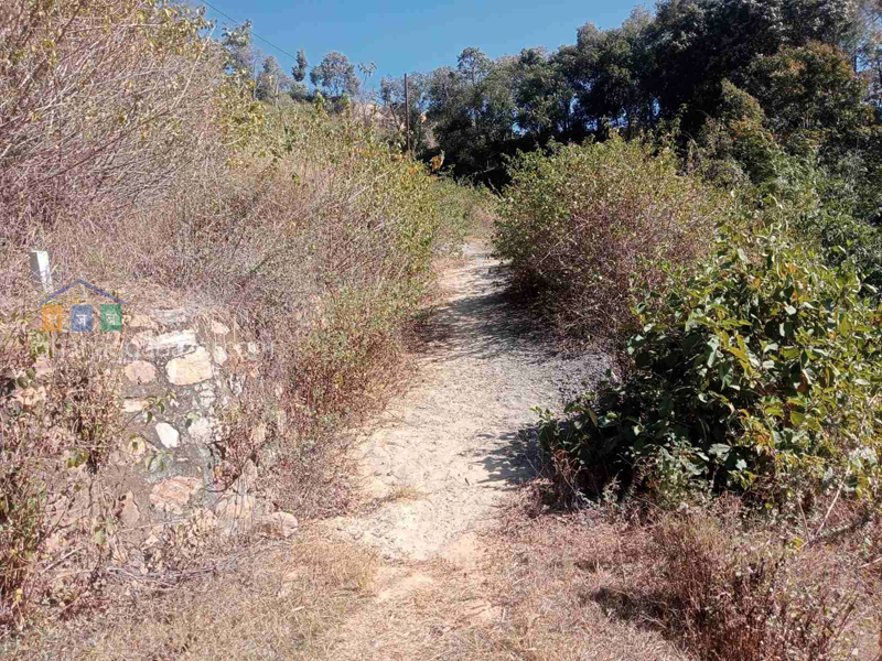 Planning Land on Sale at Dahachowk