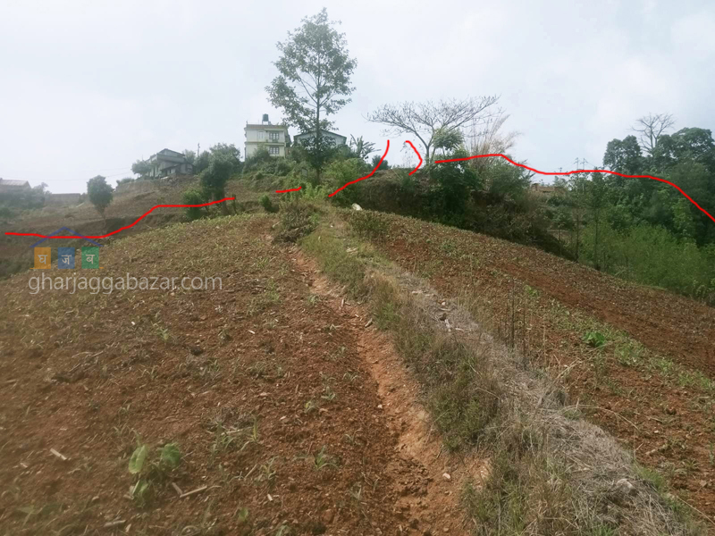 Land on Sale at Chhampi
