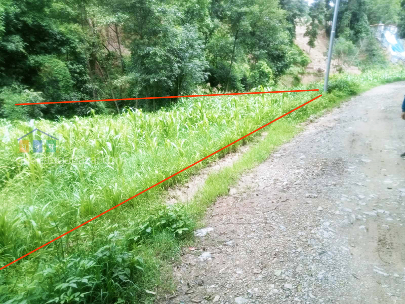 Land on Sale at Chapagaun