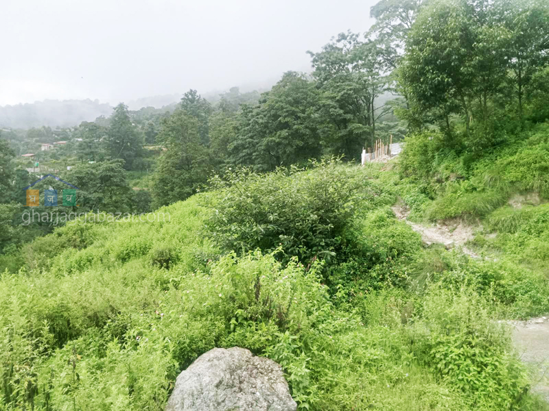 Land on Sale at Narayanthan Bisnumati