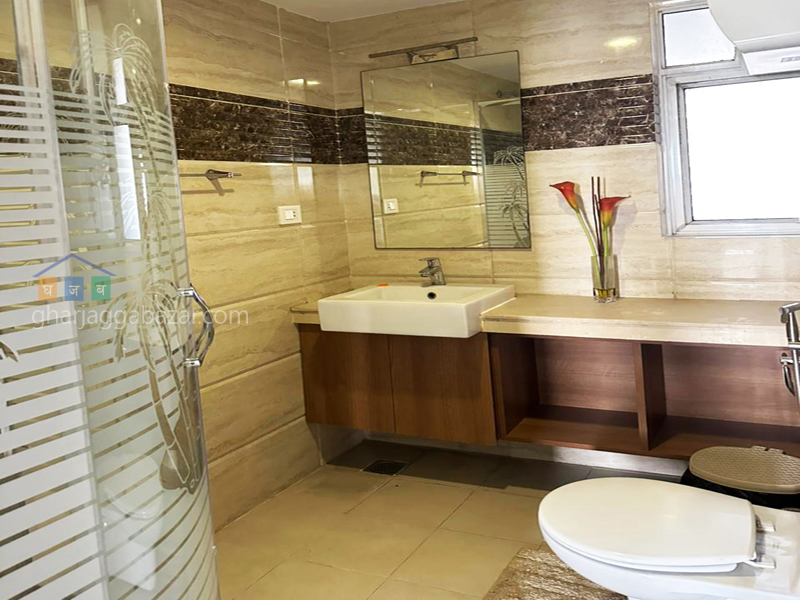 Apartment on Rent at Sanepa