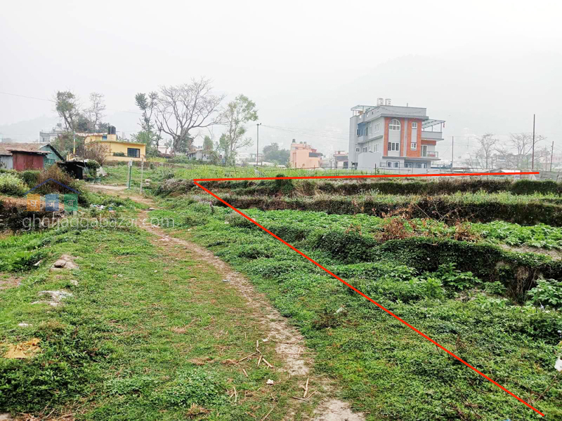 Land on Sale at Narayanthan Wasik  