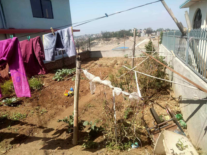 Land on Sale at Thali Danchhi