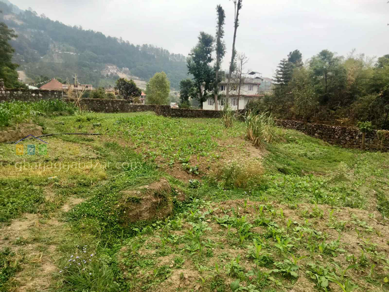 Land on Sale at Narayanthan Height