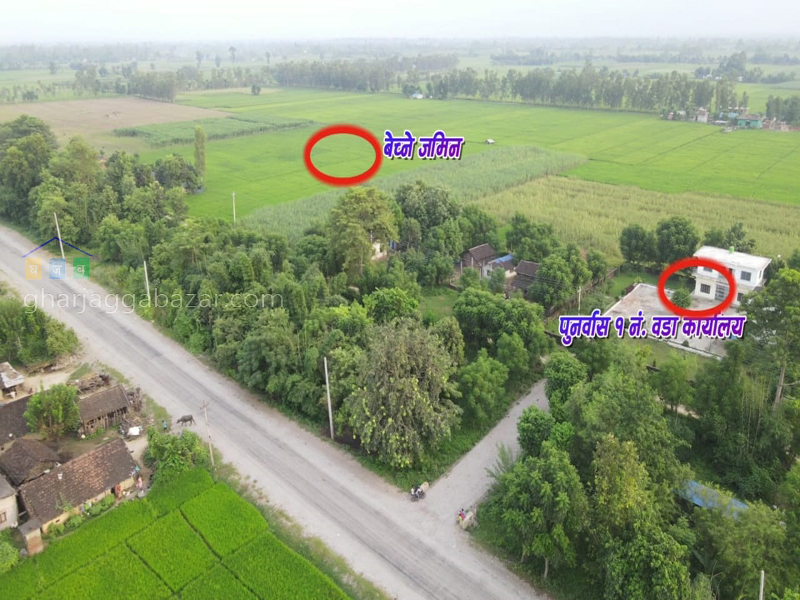 Land on Sale at Kalika Kanchanpur