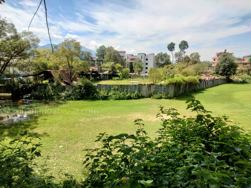 Land on Sale at Harisiddhi