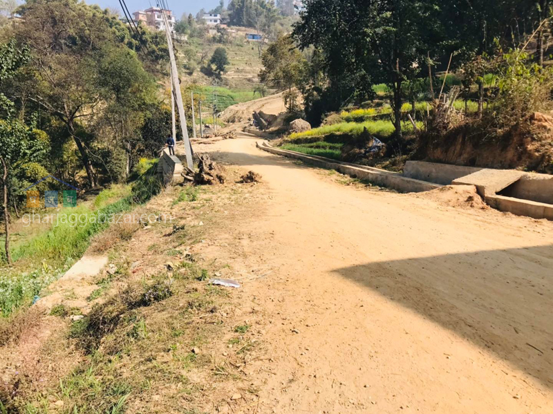 Land for Plotting at Sudal