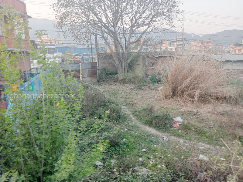 Land on Sale at Sano Bharyang