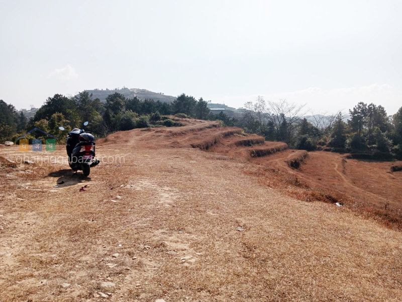 Land on Sale at Jarsing Pauwa