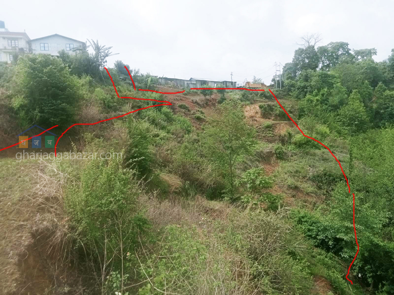 Land on Sale at Chhampi