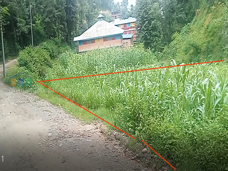 Land on Sale at Chapagaun