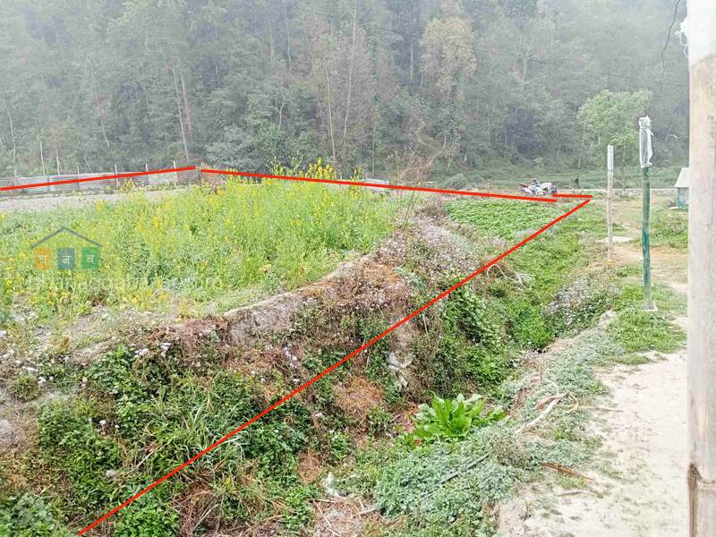 Land on Sale at Narayanthan Wasik  